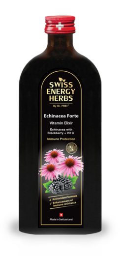 ECHINACEA FORTE Echinacea + Blackberry + Vitamin C