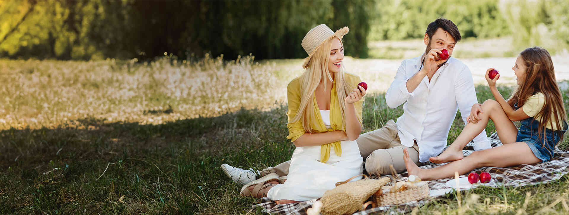 Advanced formula for the liver and biliary tract