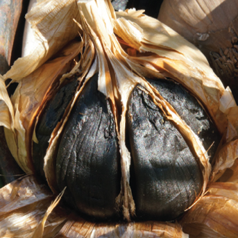 Black Garlic