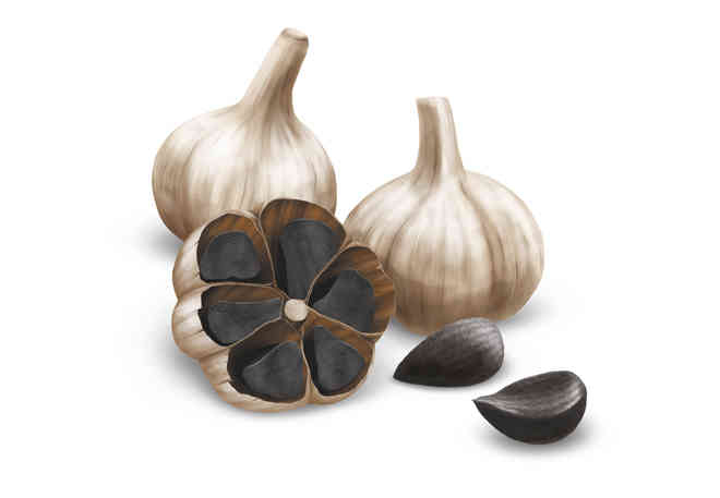 Black Garlic